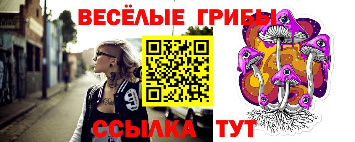 Красногорск  Галлюциногенные грибы Cubensis  Вход с VPN 